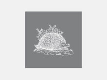 Load image into Gallery viewer, Echidna Raised Stamp
